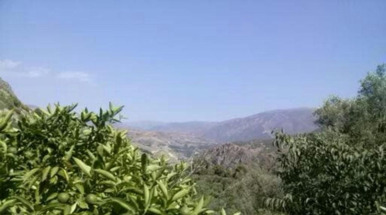Granada - Pinos del Valle - 5000m2