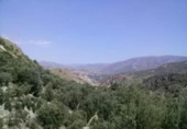 Земельный участок на продажу в городе Pinos del Valle Фото
