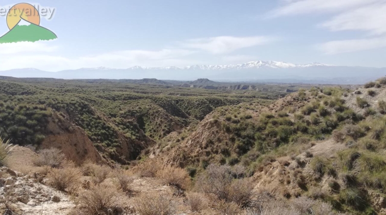 Granada - Guadix - 4560000m2