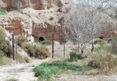 Terreno no urbanizable en venta en la España, Guadix, ref: TR385537 foto