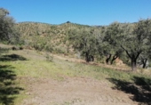 Finca rústica en venda a Pinos del Valle ref.: TR385569 foto