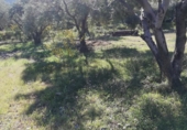 Finca rústica en venda a Pinos del Valle ref.: TR385569 foto