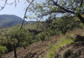 Finca rústica en venda a Pinos del Valle ref.: TR385569 foto