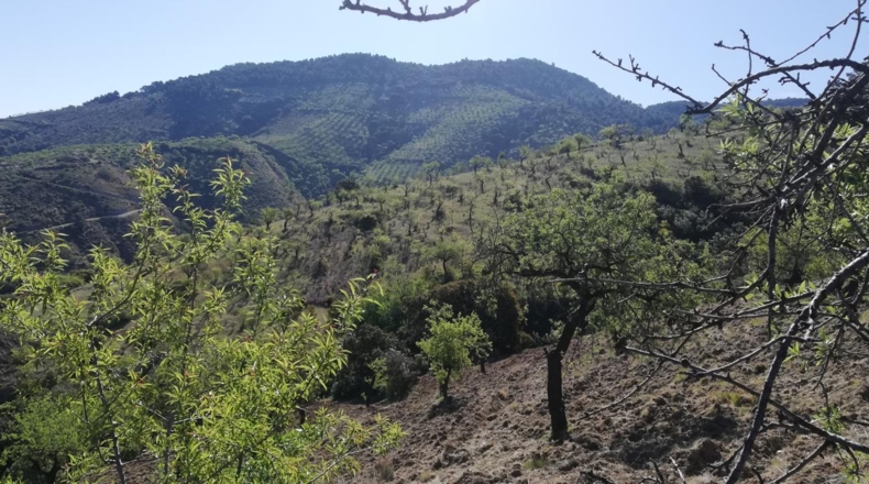 Segovia - El Espinar - 81957m2