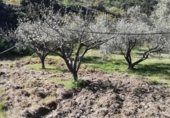 Finca rústica en venda a Pinos del Valle ref.: TR385569 foto