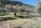 Finca rústica en venda a Pinos del Valle ref.: TR385569 foto