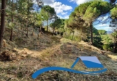 Parcel·la urbanitzable en venda a Lloret de Mar ref.: TR383889 foto
