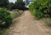 Sòl urbà en venda a la Molino Alfatego, Múrcia, ref.: TR383763 foto