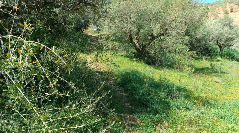 Granada - Órgiva - 3500m2