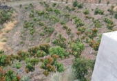 Non-developable land for sale in Almáchar ref: TR386337 photo