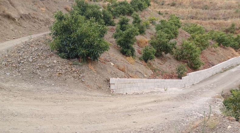 Malaga - Almáchar - 50000m2