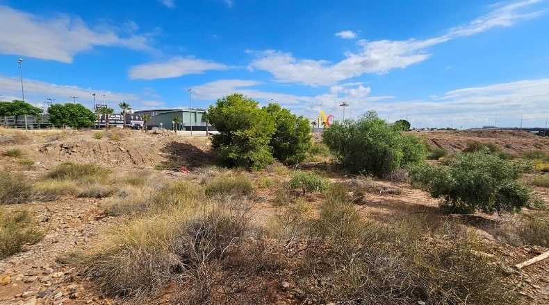 Murcia - Murcia - 4474m2