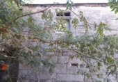 Terreno no urbanizable en venta en la Santa María de Piñeiro. , Corgo, ref: TR386593 foto