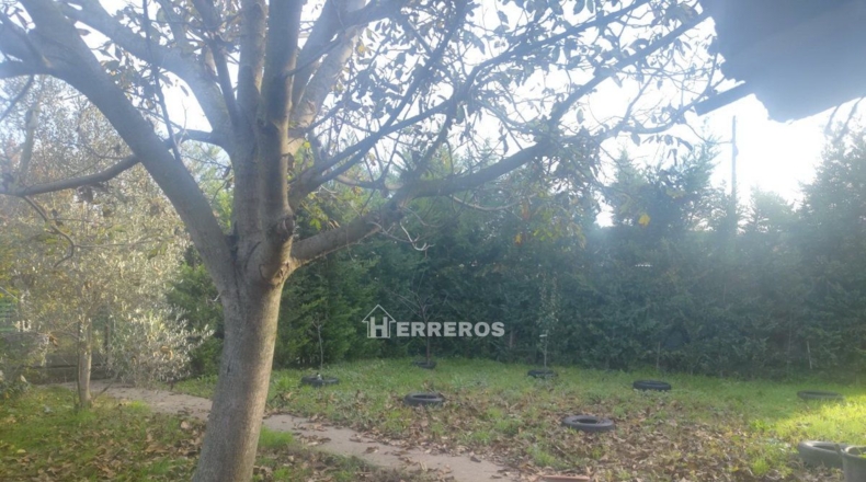 La Rioja - Calahorra - 1300m2