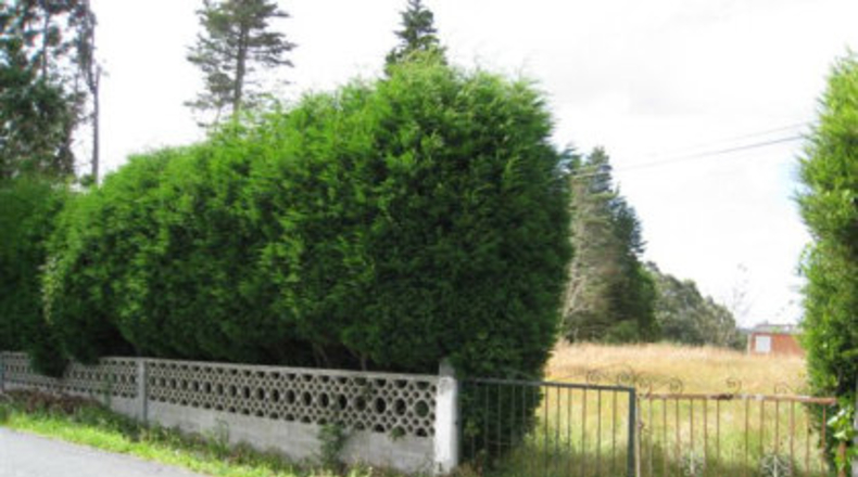 Lugo - Paderne - 2400m2