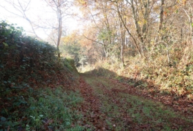 Foto 13