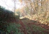 Sòl urbà en venda a A Laracha ref.: TR387785 foto