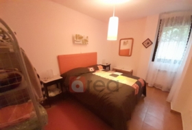 Foto 20