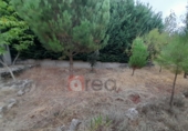 Xalet independent amb terreny en lloguer a Arcas ref.: TR387394 foto
