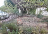 Xalet independent amb terreny en lloguer a Arcas ref.: TR387394 foto