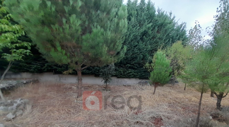 Cuenca - Arcas - 120m2