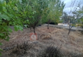 Xalet independent amb terreny en lloguer a Arcas ref.: TR387394 foto