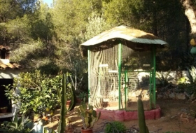 Foto 13