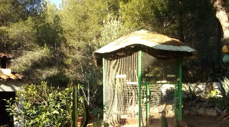 Castellón - Vinaroz - 250m2