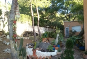 Foto 14