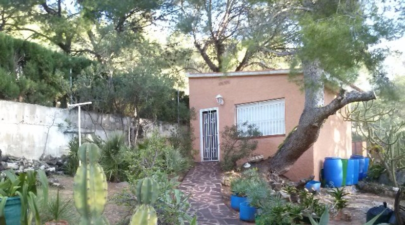 Castellón - Vinaroz - 250m2