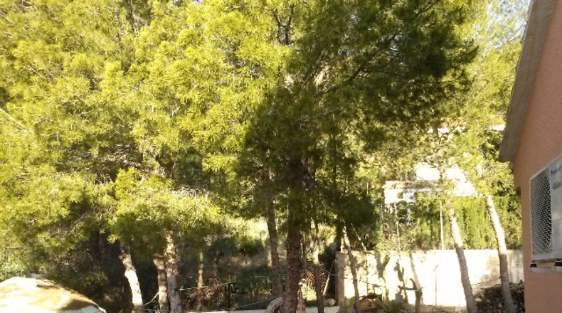 Castellón - Vinaroz - 250m2
