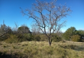 Земельный участок на продажу в городе Ulldecona Фото