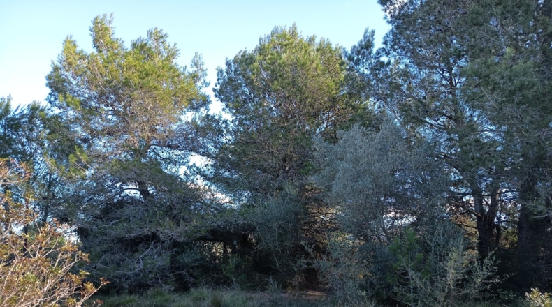 Tarragona - Ульдекона - 4255m2