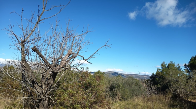 Tarragona - Ульдекона - 4255m2