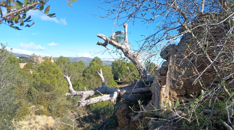Tarragona - Ульдекона - 4255m2
