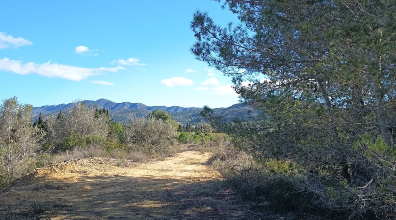 Tarragona - Ульдекона - 4255m2