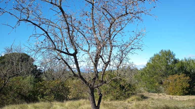 Tarragona - Ульдекона - 4255m2