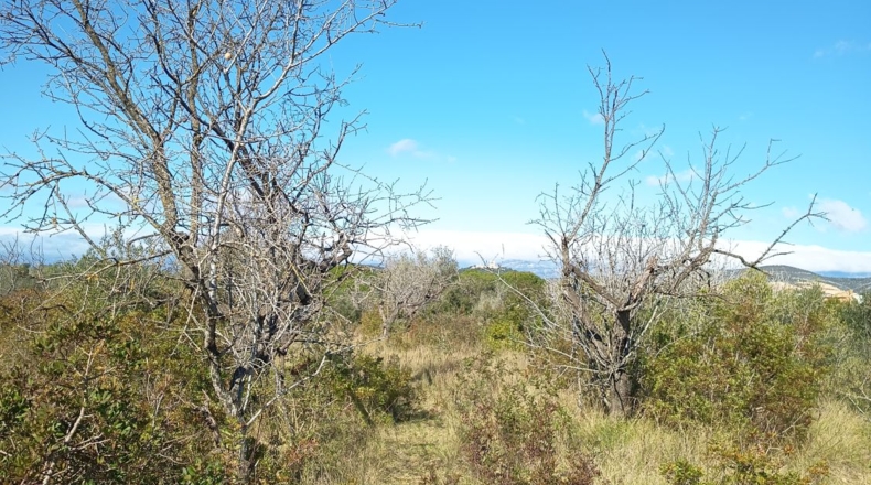 Tarragona - Ульдекона - 4255m2