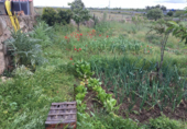 Country house with land for sale in Trujillo ref: TR386190 photo