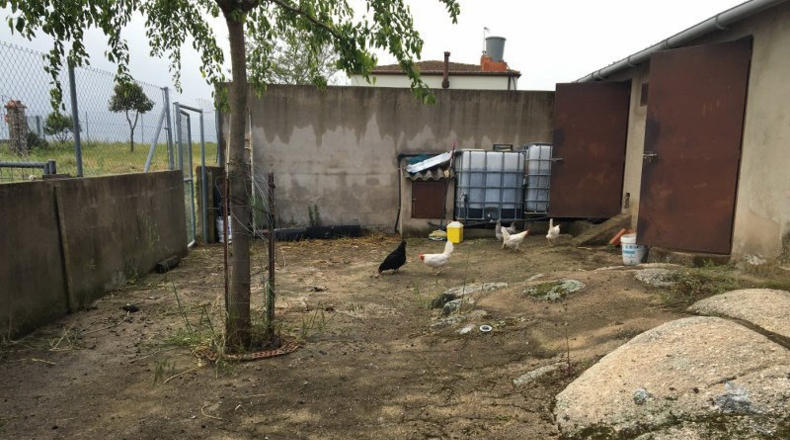 Sevilla - Alcalá de Guadaíra - 3000m2