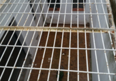 Land for sale in Trujillo ref: TR385295 photo