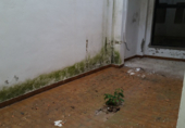 Land for sale in Trujillo ref: TR385295 photo