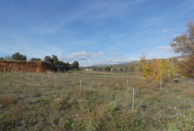 Las Rozas de Madrid 5278&nbsp;m²