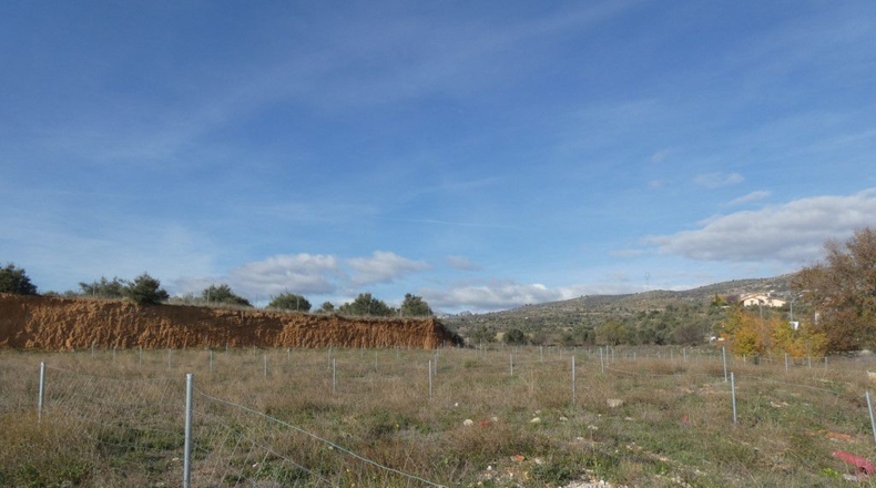 Santa Cruz de Tenerife - San Cristóbal de La Laguna - 5278m2