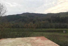 Foto 19