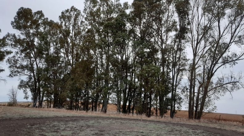 Cádiz - Arcos de la Frontera - 27000m2