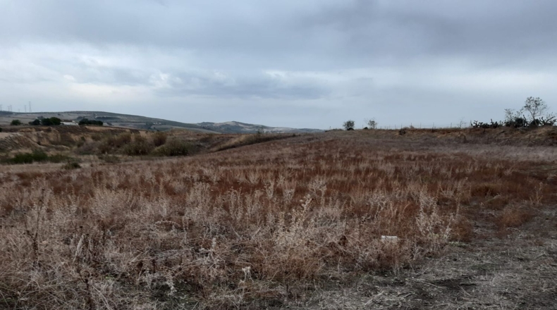Cádiz - Arcos de la Frontera - 27000m2
