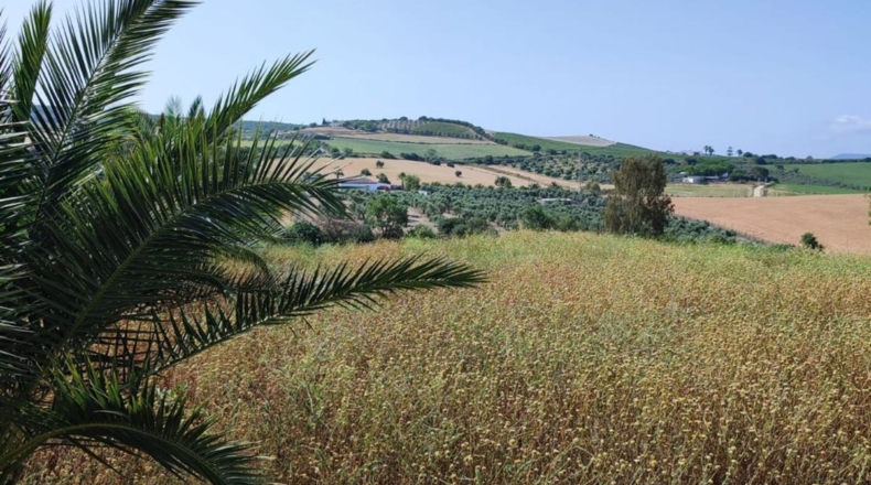 Cádiz - Arcos de la Frontera - 70000m2