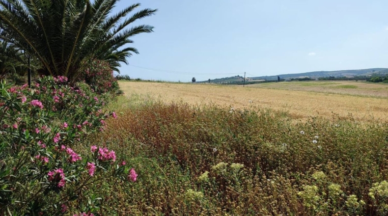 Cádiz - Arcos de la Frontera - 70000m2