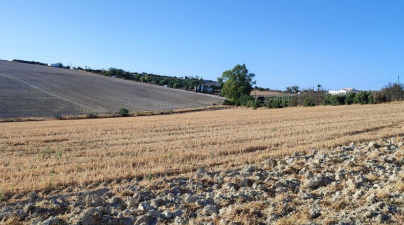Cádiz - Arcos de la Frontera - 70000m2